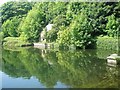 Lower Dam Linacre Reservoir near Chesterfield