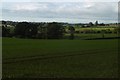 Winter cereals, Sapey Common