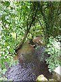 The Burn River from Higher Brithayes bridge