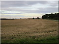 Stubble field near Knapthorpe