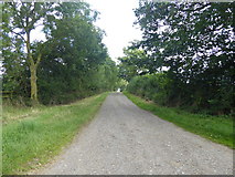 SK9151 : Farm track off Stragglethorpe Lane by Marathon