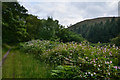 Neath Port Talbot : Bryn Cycleway