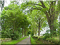 The Strathconon road east of Clachuile