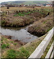 Stream confluence below Barkby Avenue, Prestatyn