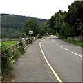 SO5300 : A466 towards Tintern Abbey by Jaggery