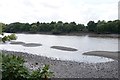 The Thames below Barnes Bridge