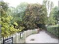 Path through Golders Hill Park