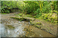 Clapper Bridge on Lovaton Brook