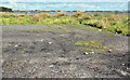 Car park, Ballyhaskin, Millisle (August 2017)