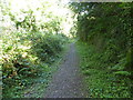 Bridle path near Lamorna