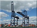 TM2634 : Travelling cranes, Trinity container terminal, Felixstowe by Christine Johnstone