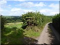 Field gate and road on Blackberry Down