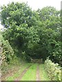 Gate into Ashilford Copse