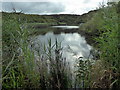 Slash Pond, Broad Haven