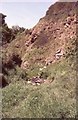 Rocky outcrop, Coldingham