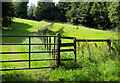 Public footpath alongside fence