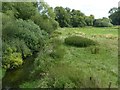 River Sow from Fairway bridge, looking east