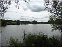 TQ4792 : The Lake in Hainault Forest Country Park by Marathon