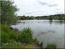 TQ4792 : The Lake in Hainault Forest Country Park by Marathon