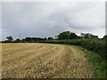 TA1734 : Stubble field at Thirtleby by Jonathan Thacker