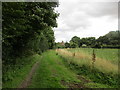 Footpath to Boggle Lane, Sproatley