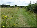 Hainault Forest Country Park