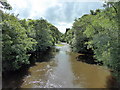 River: Cleddau Ddu