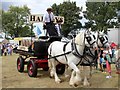 Harveys delivery cart, Tractorfest