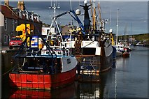 NT9464 : Fishing boats in Eyemouth Harbour by David Martin