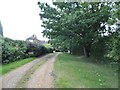 Track to Rose Farm, Thornwood Common