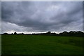 SY5598 : West Dorset : Grassy Field by Lewis Clarke