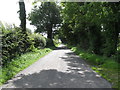 View ESE along the tree-lined Ballyfounder Road