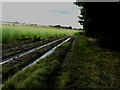 Future site of Thanet Parkway railway station