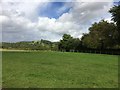 A Corner of Hawkesbury Common