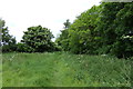 Footpath to Dunwich Lane