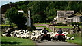 Sheep in Nether Wasdale