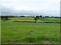 Killaveney Townland