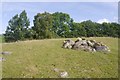 Clearance cairn, Milton of Pitgur