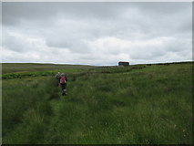 NT9918 : Bridleway to Sheepfold by Les Hull