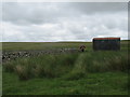 NT9918 : Sheepfold on Reaveley Hill by Les Hull