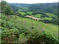 Overlooking the Melinddwr valley