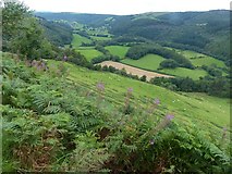 SN7081 : Overlooking the Melinddwr valley by Robin Drayton
