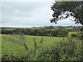 Field sloping to a hedge and stream near East Bowerland