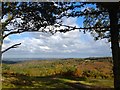 View from Gibbet Hill