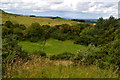 Valley of Humbleton Burn