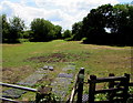 Field and the Frome Valley Walkway, Yate