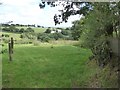 Wooded valley south of Horning Down