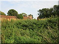 Burstwick House above the nettles