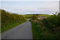 West Dorset : Country Lane