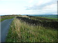 A narrowing of the verge of Edge lane, Long Preston